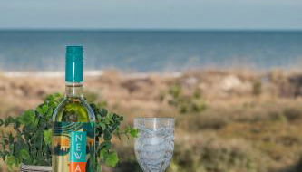 Million Dollar Oceanfront View - Foto 5