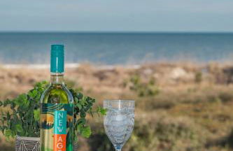 Million Dollar Oceanfront View - Foto 5