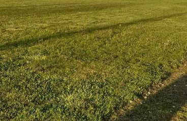 Studio Apartman Ždral - Foto 32