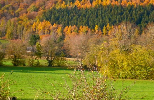 Nature Apartment With Sauna - Foto 35