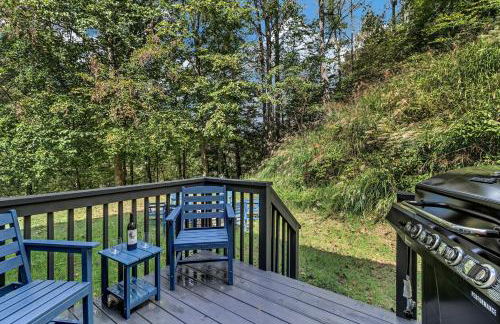 Spacious Mountain Retreat with Bonus Game Room Near Asheville, Barnardsville, NC - Foto 62