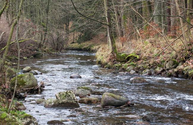 Apartment Near the ski Area - Photo 18