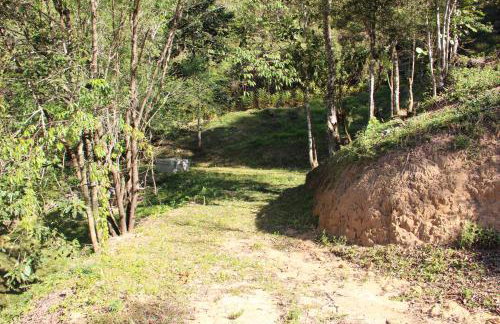 Solar Mirandela - Foto 42