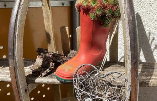 Ferienwohnungen Hubertus - Foto 10