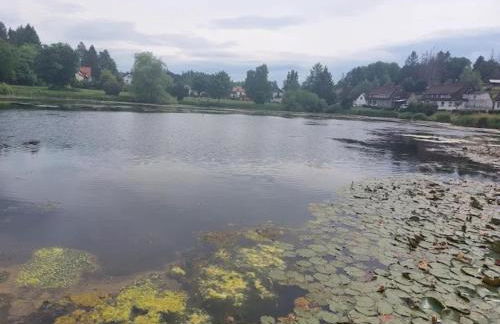 Charming Holiday Residence in the Harz With Wonderful Excursion Opportunities - Foto 116