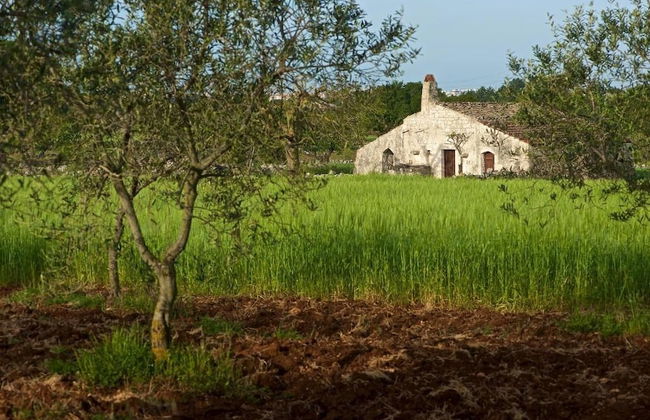 Masseria Ciavea - Photo 36