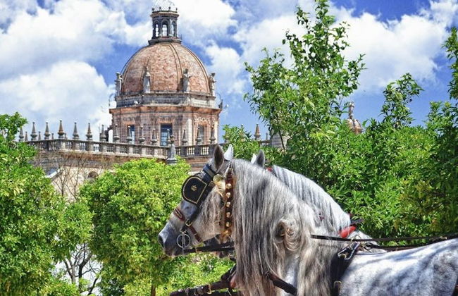 Guided Tour - Jerez historical center, horse show and winery visit - Photo 7