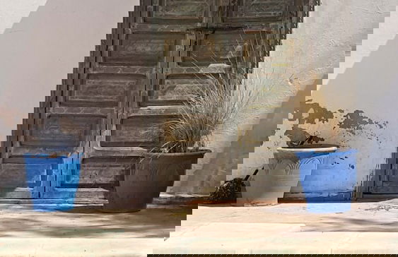 La Maison D'Hortense - Foto 19