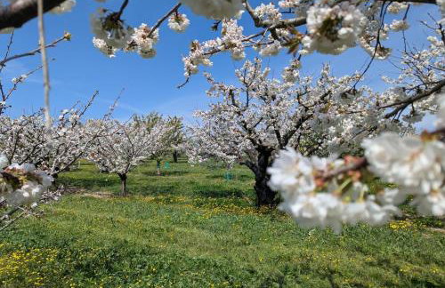 La Bergerie de Lorette - Au Cœur du Luberon - Foto 42