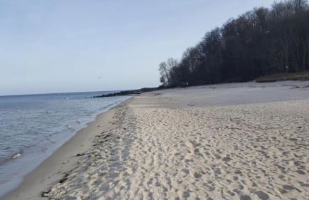 Studio mit Seeblick - Foto 55