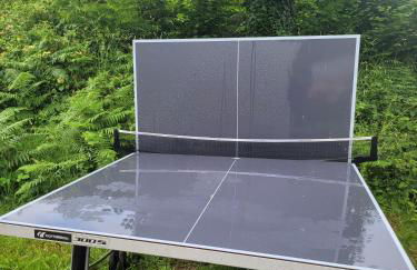 Villa l'estran récente vue mer Plounéour-Brignogan-plages - Foto 30