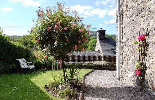 Tre-Allt Gorgeous Cottage - Foto 10