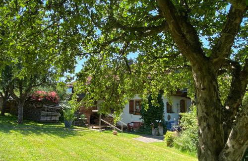 Haus Wiesengrund - Foto 18