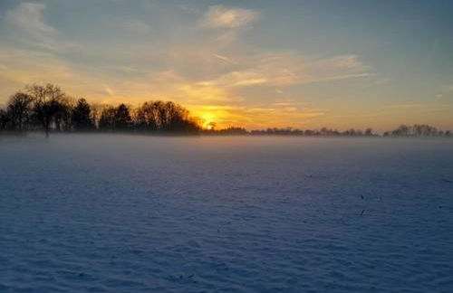 Oderbruchhütte - Photo 16