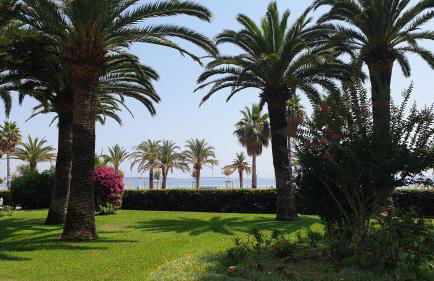 Garden and beach sea view apartment Cannes - Foto 30