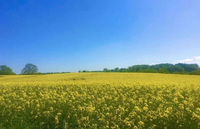 Holiday Home Reimers - Foto 16