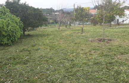 Casa das 3 Palmeiras - Foto 55