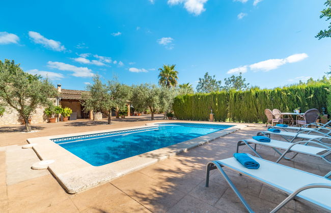 Son Catlar - Photo 1