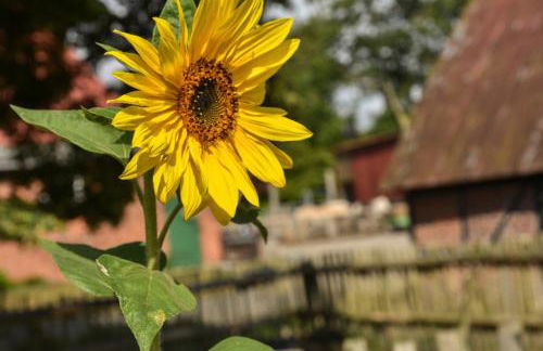 504 Stallgeflüster - Foto 39