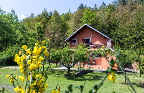 Forest Escape - Foto 22