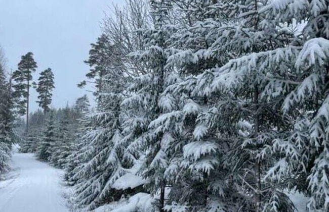 Holiday Home Hus Rusken - Foto 9