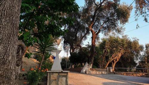 Angelos Studios - Photo 4, Garden