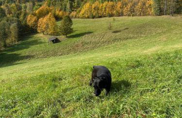 Studio Gościnne ANTEK - Foto 17
