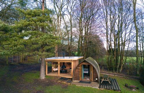 Chawton Park Farm by Wigwam Holidays - Foto 13