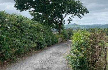 Field View - Foto 39