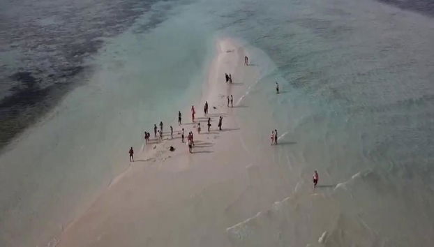 Ras Mohamed White Island de Barco - Foto 2