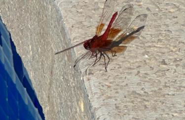 Casa San Jose - Foto 25