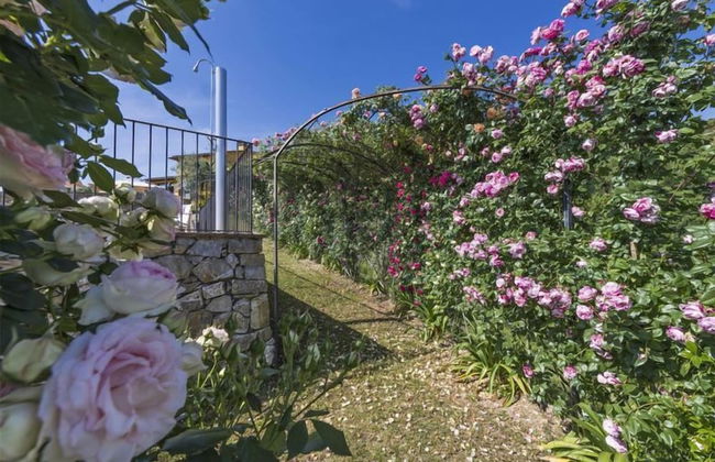 Villa Casalguidi - Foto 36