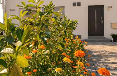 Ferienwohnung Elena - Foto 11