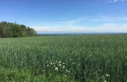 Sunshine Cottage - Foto 27