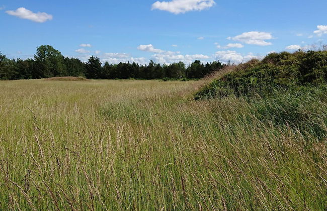 6 Person Holiday Home in Hojslev-by Traum - Foto 7