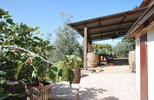 Il Frantoio, Loft rurale, con bbq e giardino in Pontifogno - Foto 7