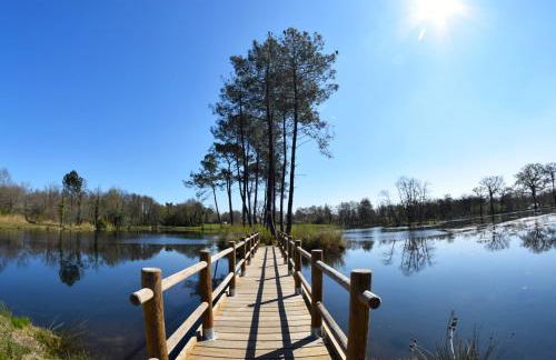 Le gite gravieres - Foto 16