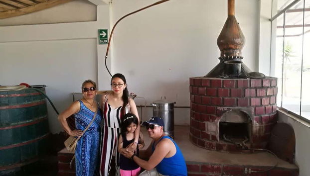 Tour del pisco