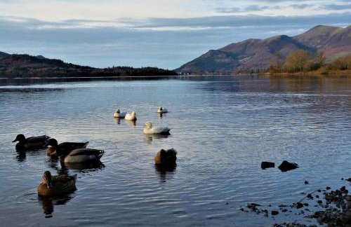 1 Bed in Keswick oc-86245 - Foto 10