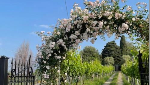 THE MONTEVECCHIA HOME - FRIDA APARTMENT - Foto 3