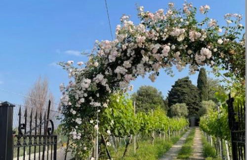 THE MONTEVECCHIA HOME - FRIDA APARTMENT - Foto 3