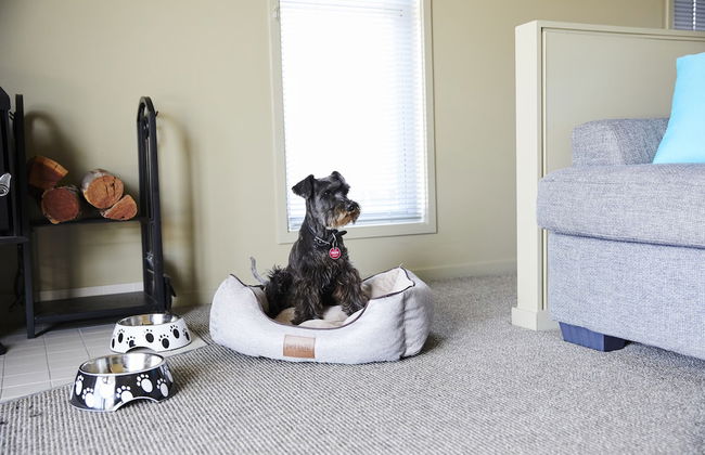 Ridgemill Escape - Photo 21