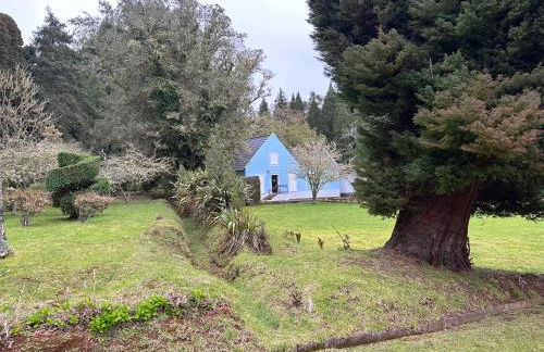 Quiet Place - Foto 49