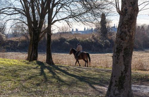 Al Castello Aparthotel - Camere e Appartamenti tra Verona e Lago di Garda - Foto 15