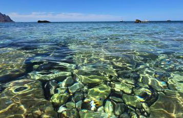 Al Civico 365 - Foto 22