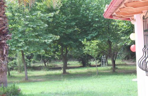 Terry Land Village - Foto 64