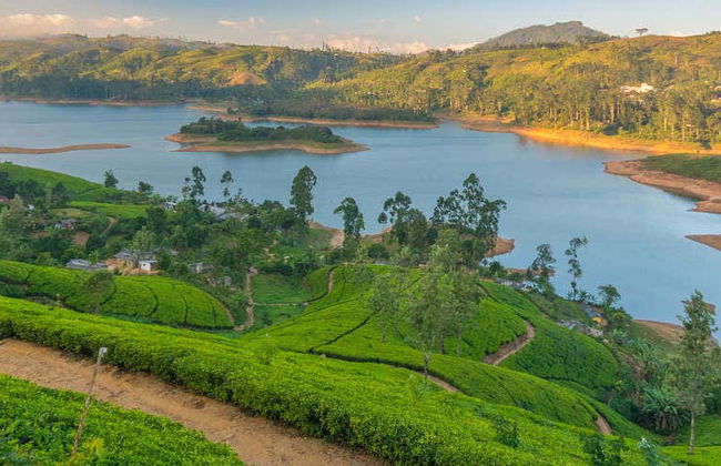 Tour privado de 2 días por Nuwara Eliya - Foto 2