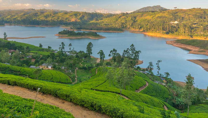 Excursion privée de 2 jours à Nuwara Eliya