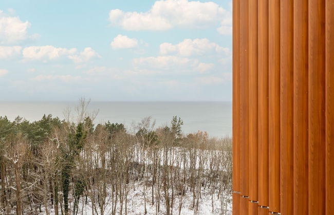 Sunny Coast Studio by Renters - Foto 38