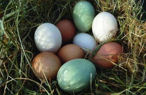 Blackthorn is a luxurious, rural retreat for two. - Foto 14